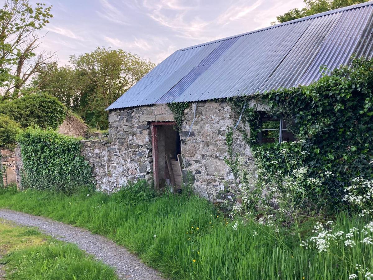 Hillhead Country Retreat Villa Castlewellan Kültér fotó