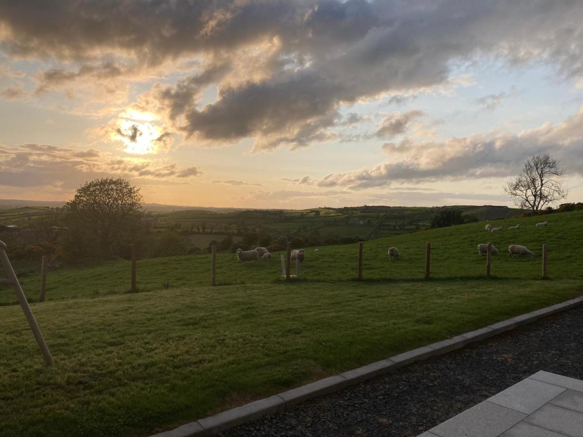 Hillhead Country Retreat Villa Castlewellan Kültér fotó